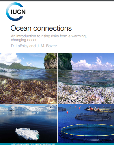 IUCN report warns unprecedented changes in oceans make risks a wake-up ...