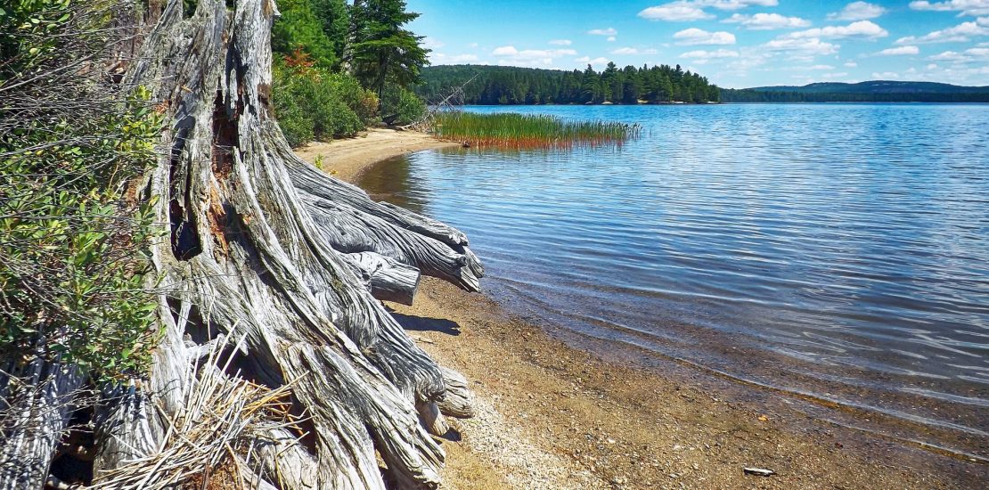 one of the Great Lakes of canada, in Ontario. Image shows a shoreline looking out to clear water.