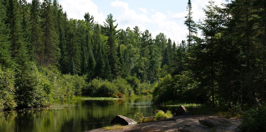 algonquin-provincial-park