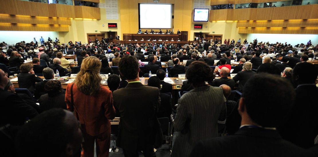 large meeting auditorium. Participants have their backs to the camera