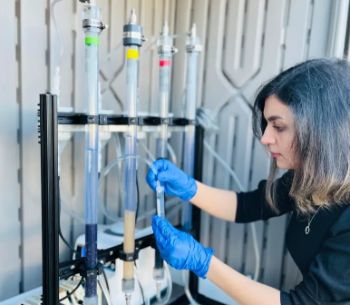 UBC researchers devise unique adsorbing material capable of capturing all PFAS present in water supply Image credit - Mohseni Lab at UBC
