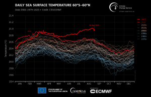 Daily sea surface temperature (°C) averaged over the extrapolar global ocean (60°S-60°N) during 2023 (black line) and for 1979 to 2022 (grey lines). The average conditions for 1991-2020 are shown by the dashed grey line. The previous global average SST record, from March 2016, is shown by the labelled horizontal dashed grey line. Data source: ERA5. Credit: Copernicus Climate Change Service/ECMWF.