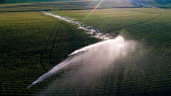 New study finds aquifer depletion threatens crop yields